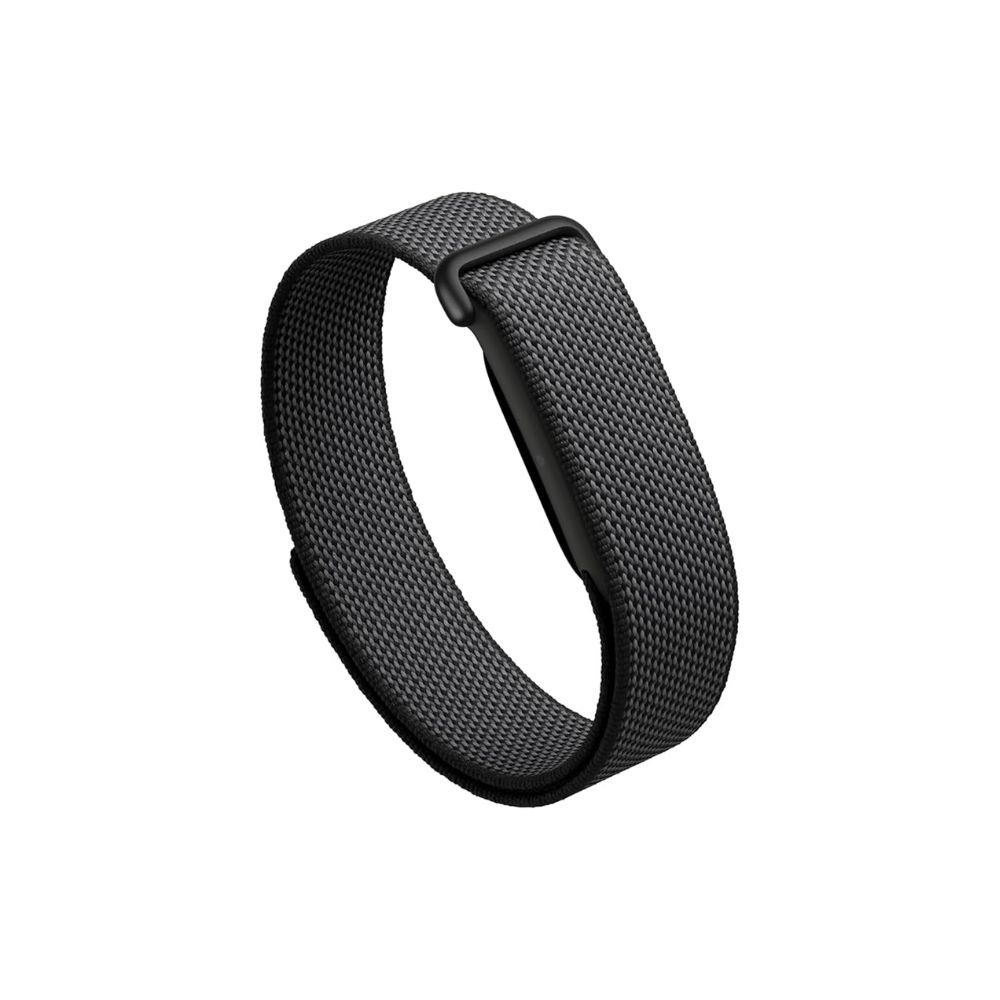 Google Fitbit Air
