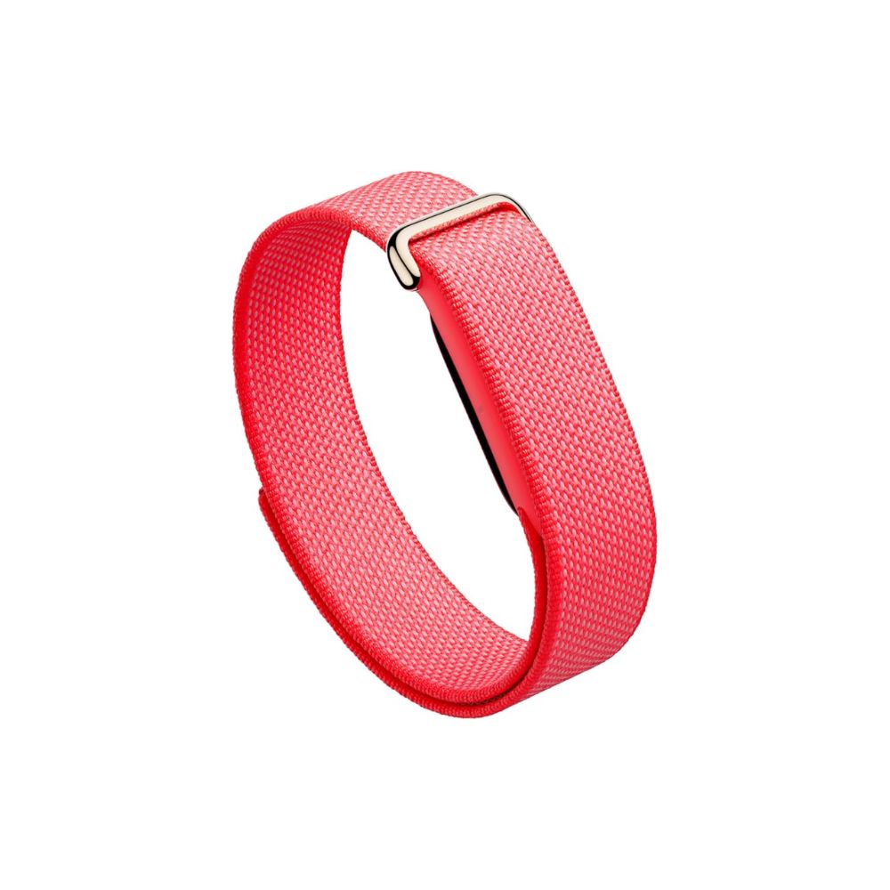 Google Fitbit Air