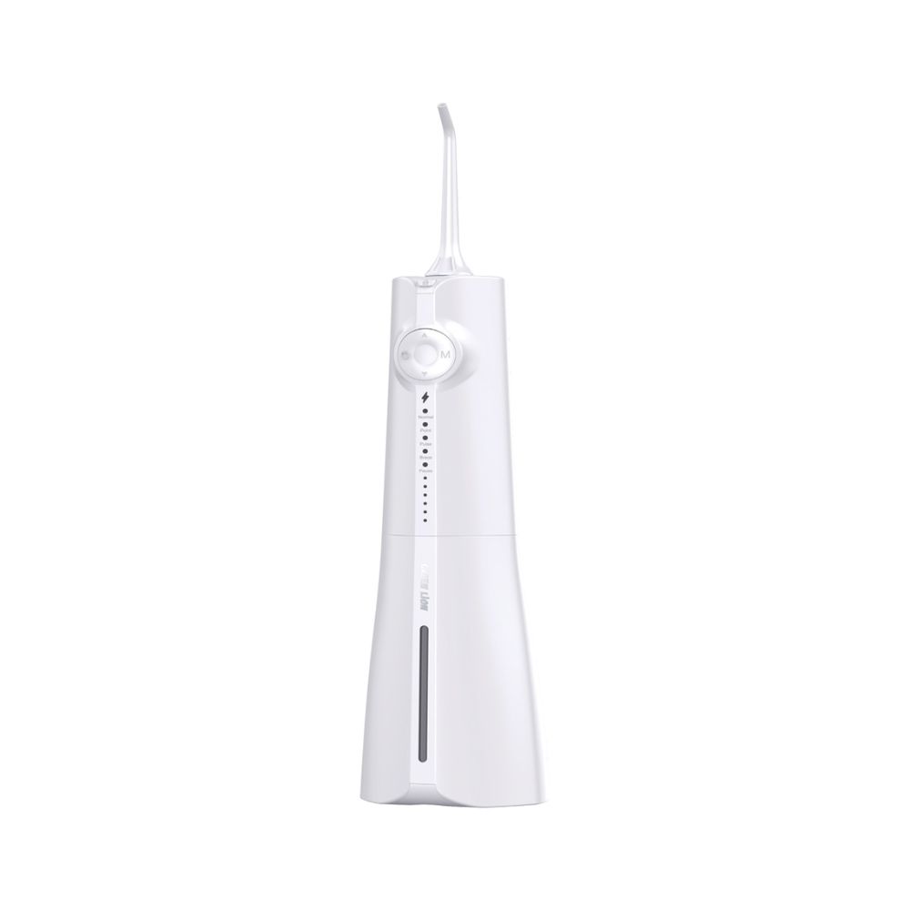 Green Lion Portable Oral Irrigator 300ML – WHITE