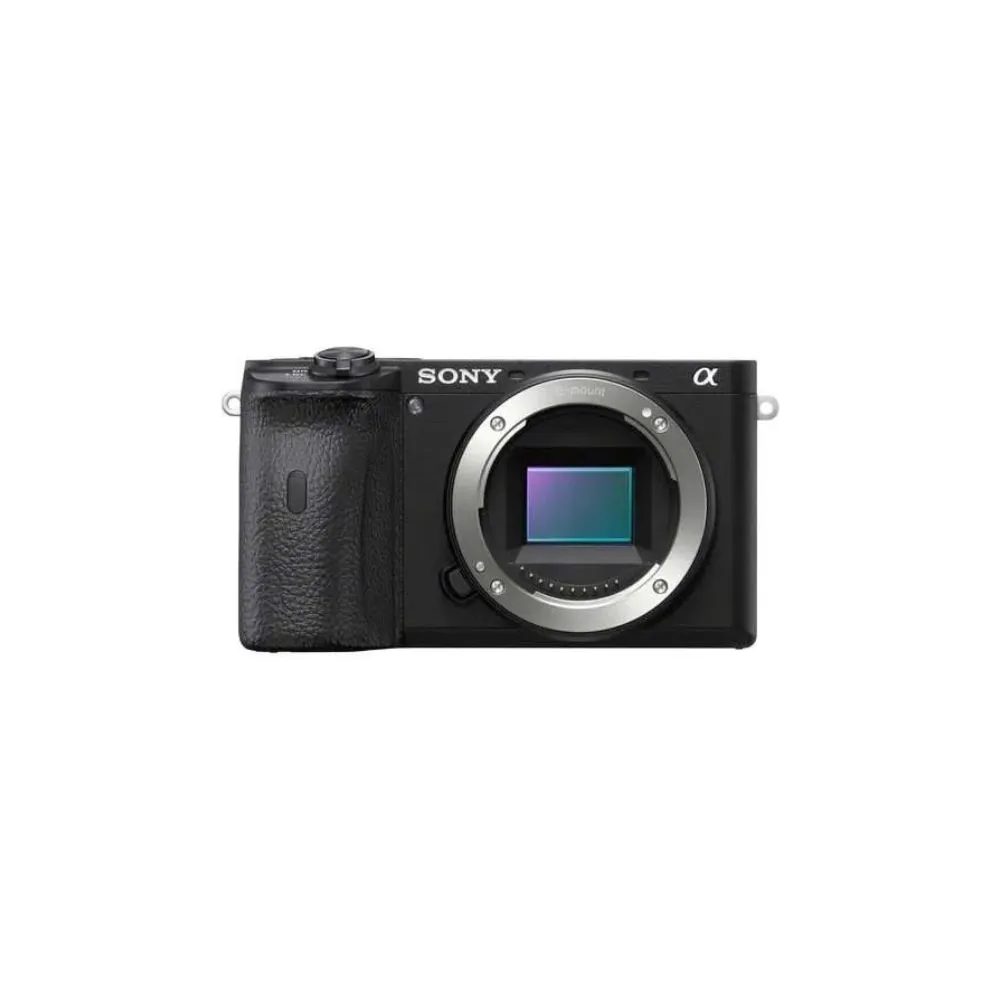 Sony a6600 Mirrorless Camera