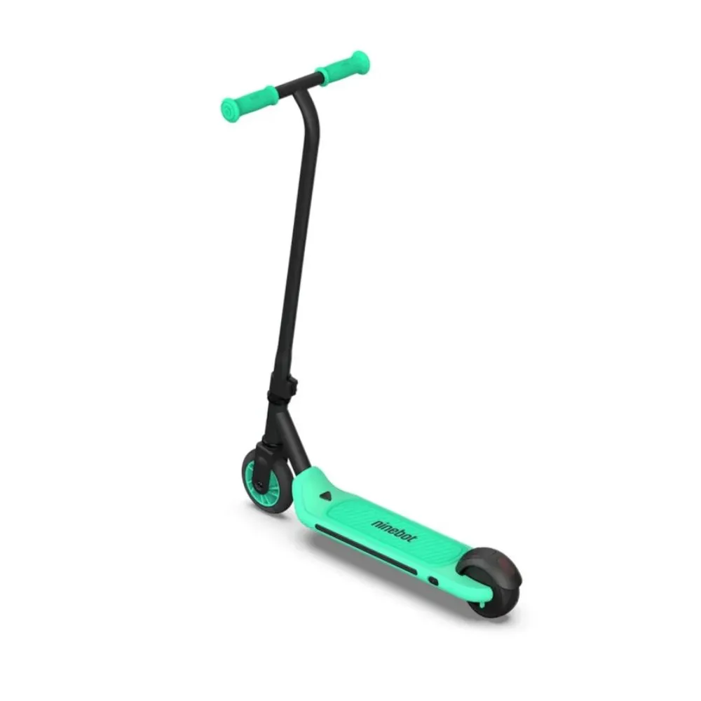 ZING A6 Ninebot eKickScooter